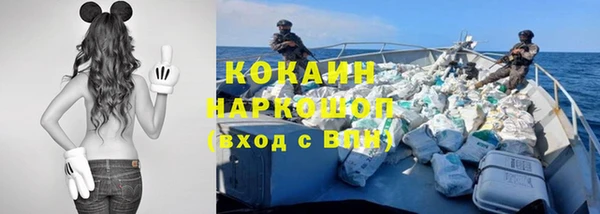 прущие грибы Приозерск