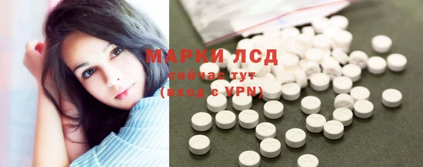 прущие грибы Приозерск