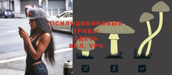 прущие грибы Приозерск