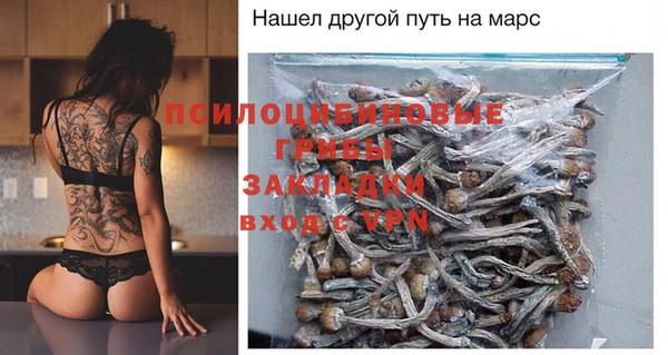 прущие грибы Приозерск
