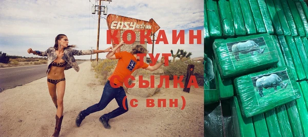прущие грибы Приозерск