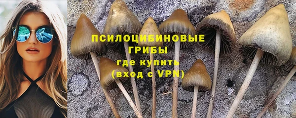 MDMA Premium VHQ Дедовск