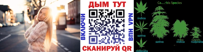 закладка  Артёмовск  Бошки марихуана гибрид 